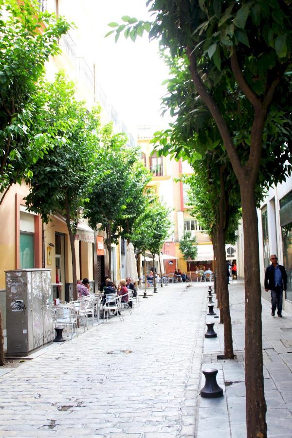 Plaza Nueva Terraza Apartment เซบีญา ภายนอก รูปภาพ